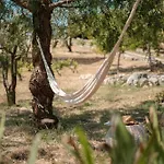 Helloapulia Trullo Di Bacco Villa