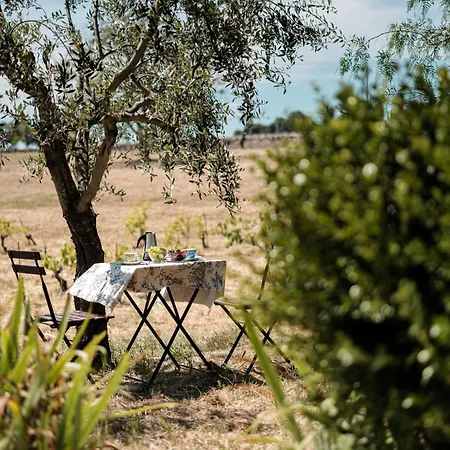 فيلة Helloapulia Trullo Di Bacco *