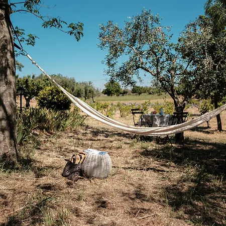 Helloapulia Trullo Di Bacco *