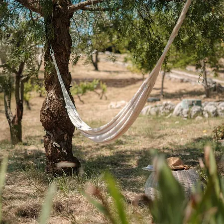 Helloapulia Trullo Di Bacco Villa