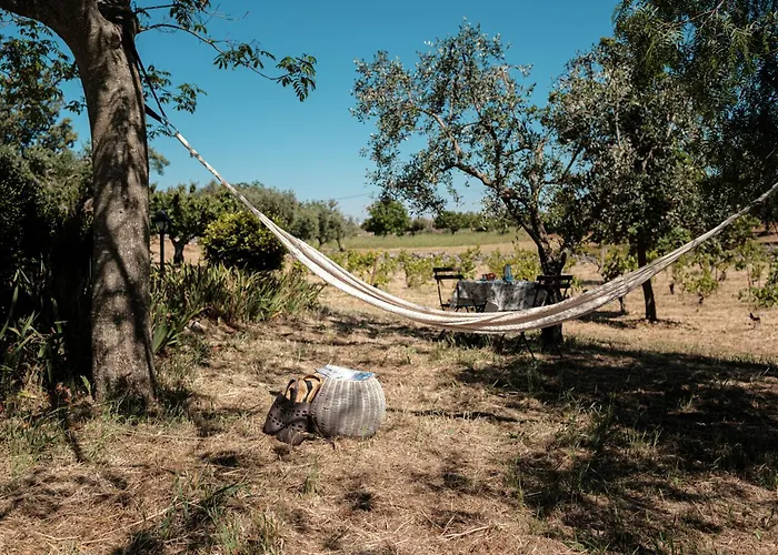 Helloapulia Trullo Di Bacco *
