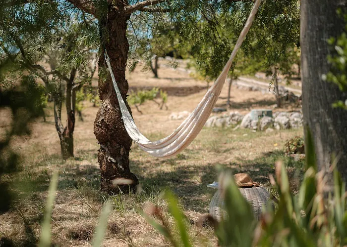 Helloapulia Trullo Di Bacco Villa